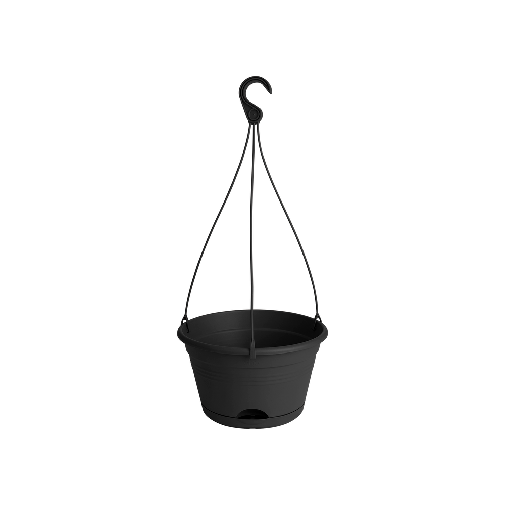 Green Basics Hanging Basket 28