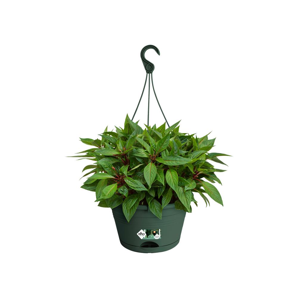 Green Basics Hanging Basket 28