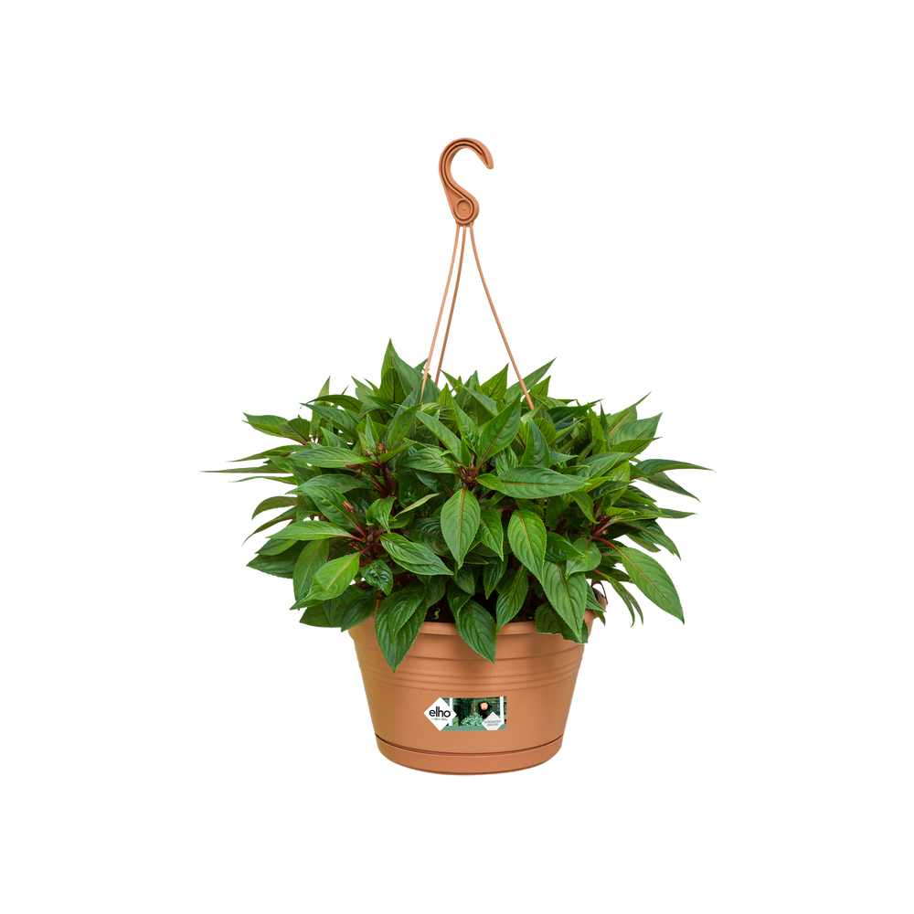 Green Basics Hanging Basket 28