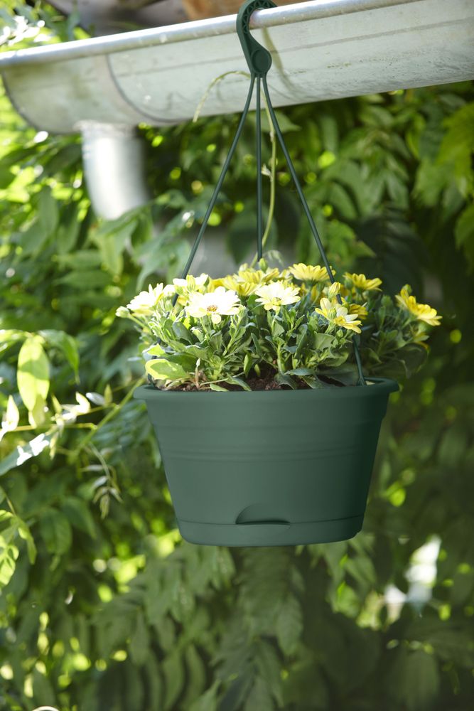 Green Basics Hanging Basket 28