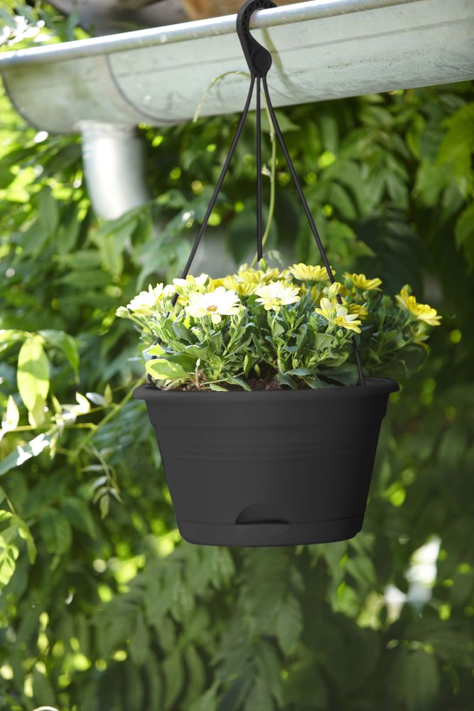 Green Basics Hanging Basket 28