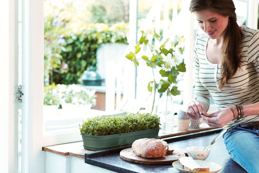 Green Basics Grow Tray L