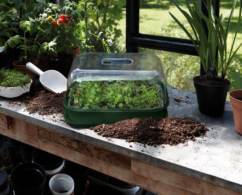 Green Basics Grow Tray M