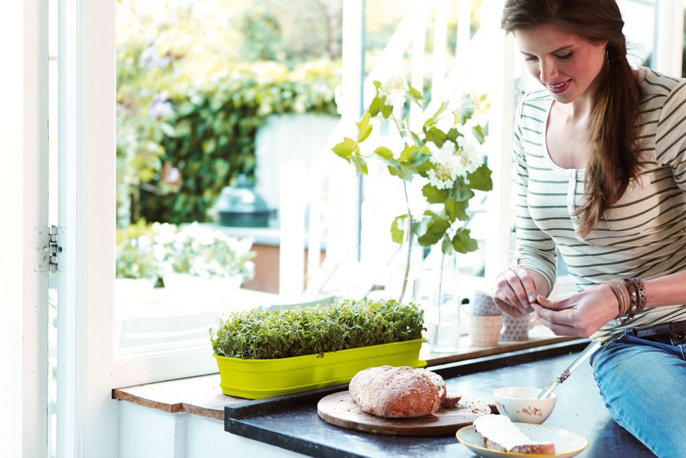 Green Basics Grow Tray L