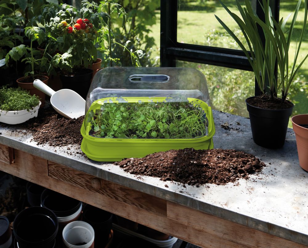 Green Basics Grow Tray M