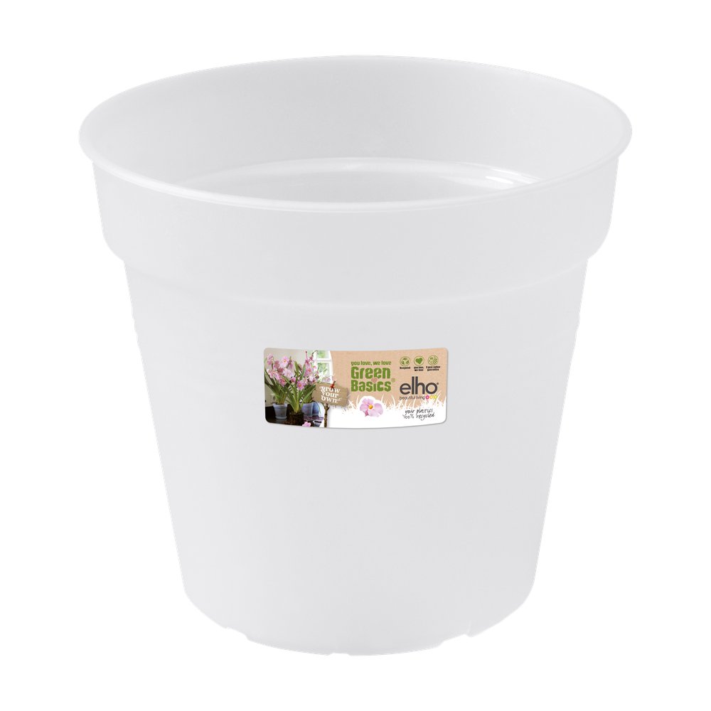 Green Basics Orchid 15