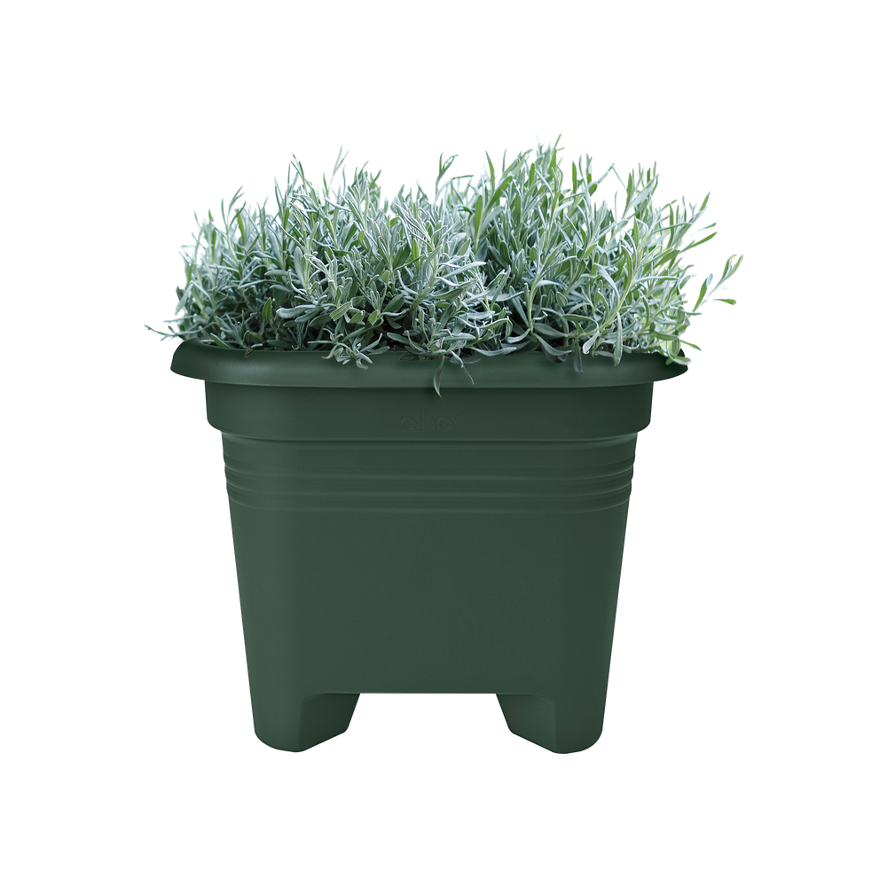 Green Basics Square 40