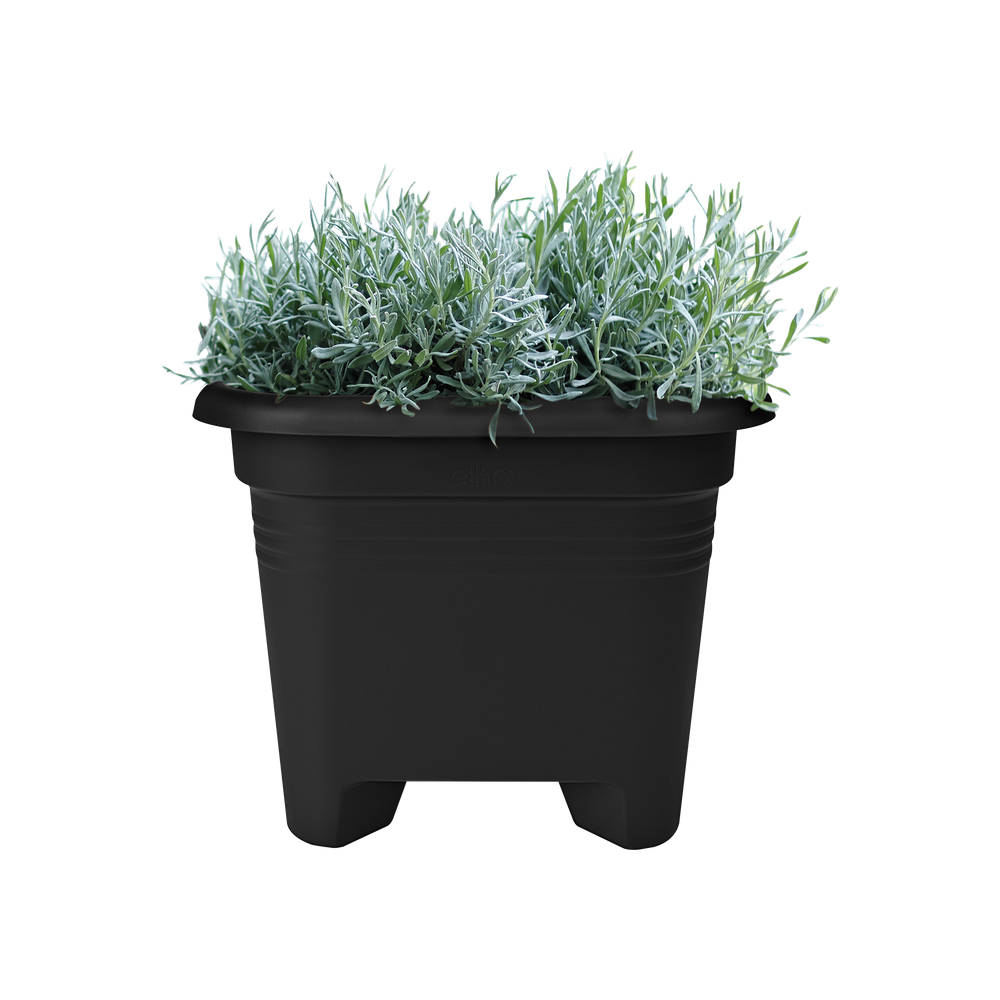 Green Basics Square 40