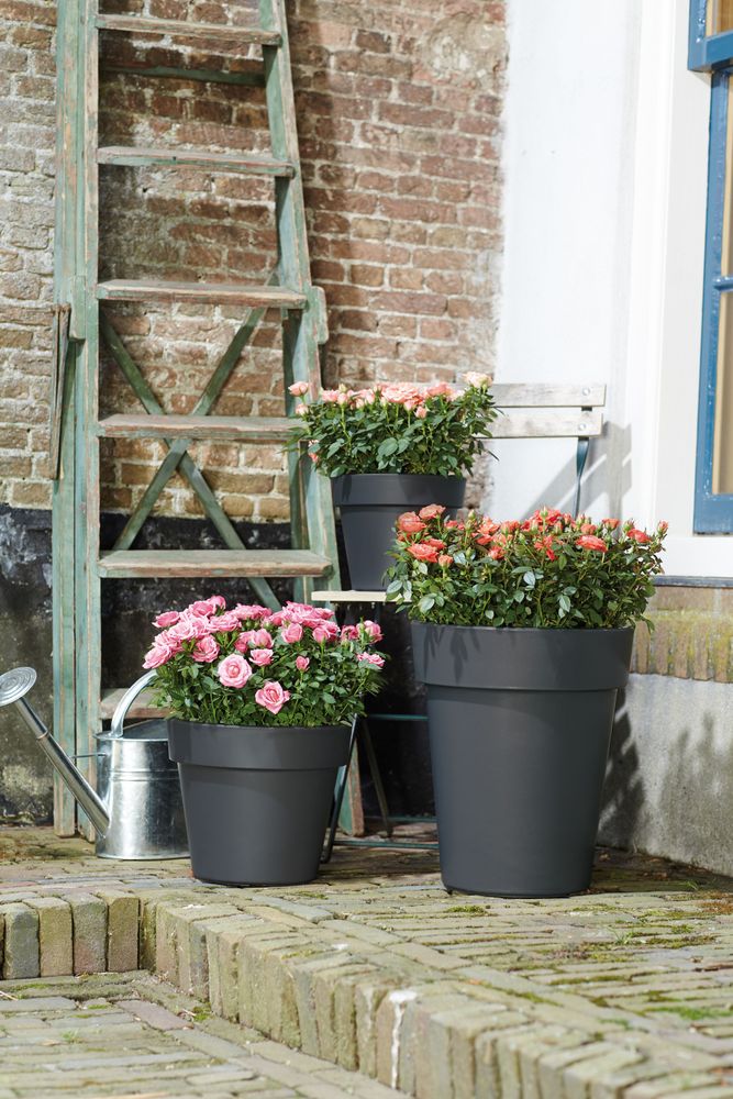 Green Basics Top Planter 47