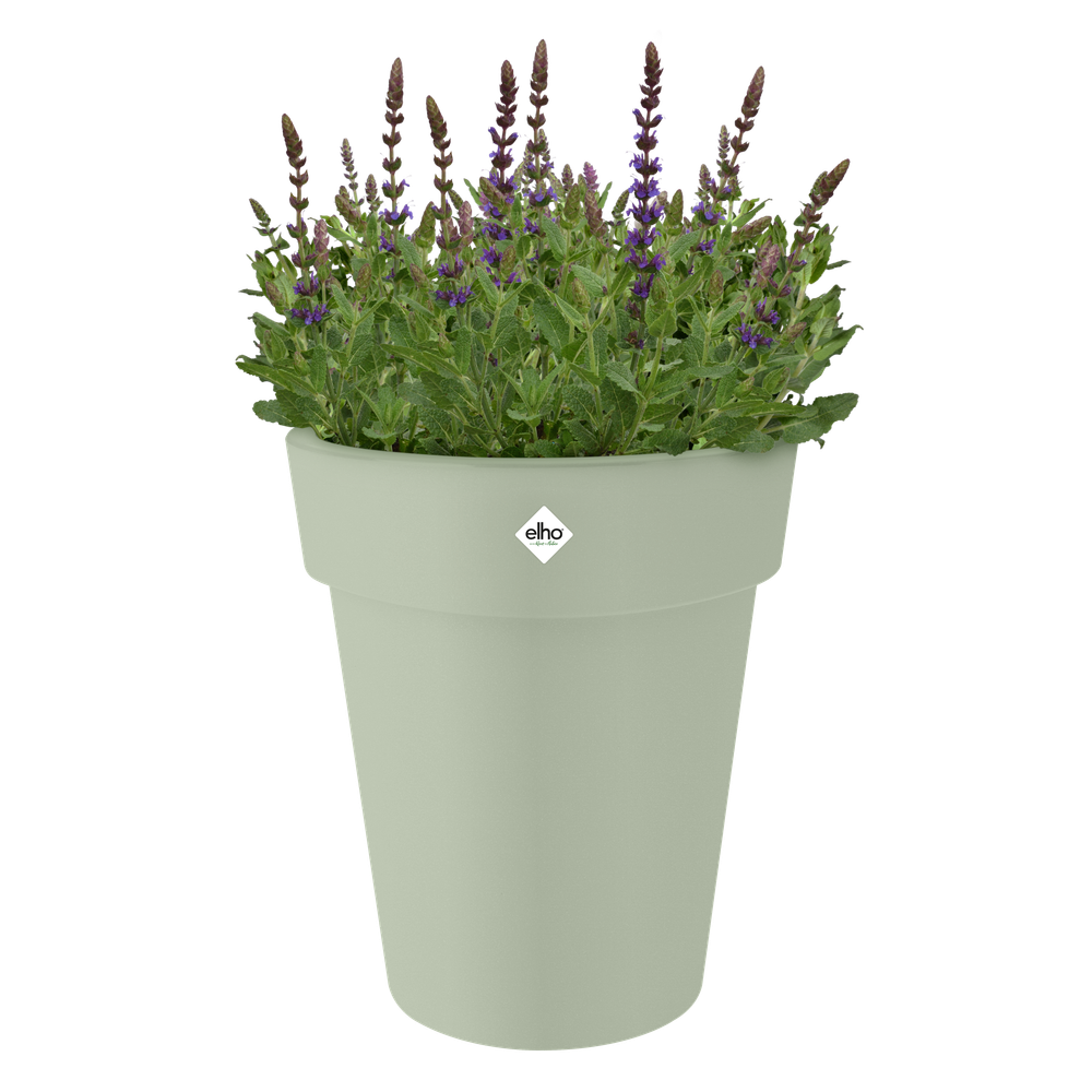 Green Basics Top Planter High 35