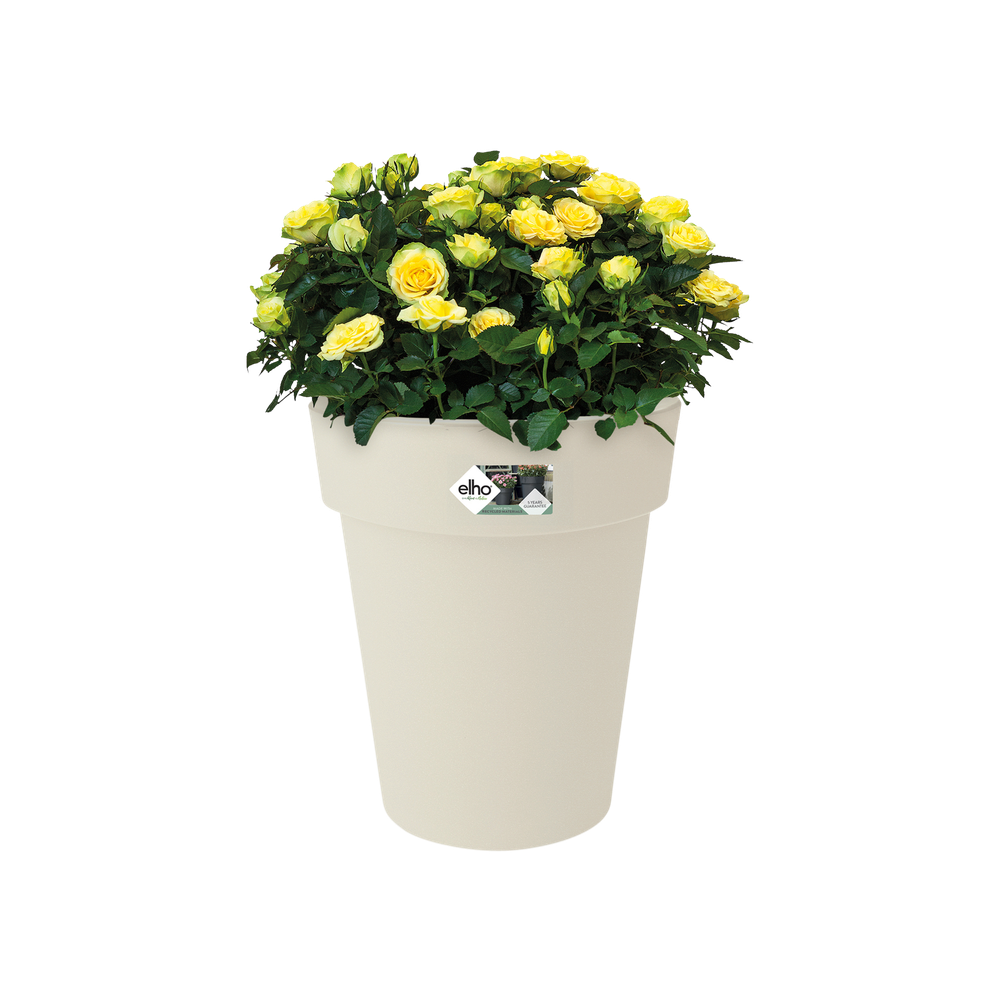 Green Basics Top Planter High 35
