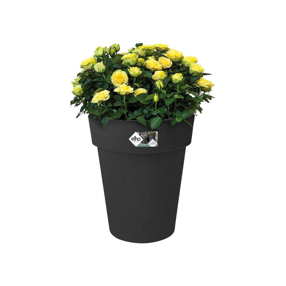 Green Basics Top Planter High 35