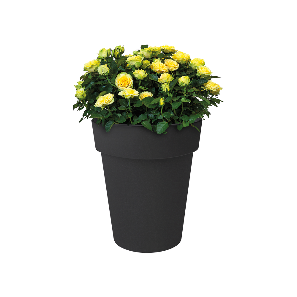 Green Basics Top Planter High 35