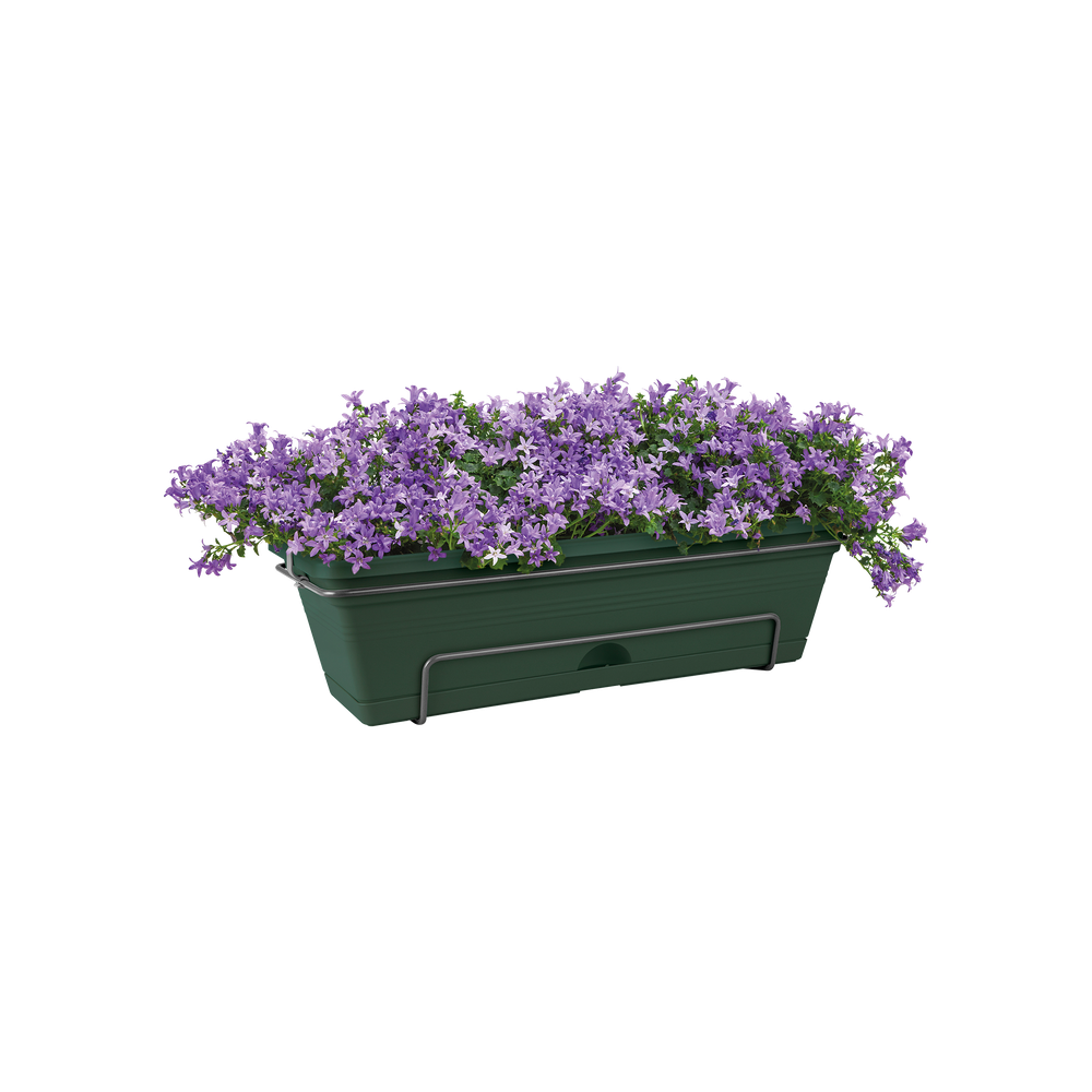 Green Basics Trough Allin1 50