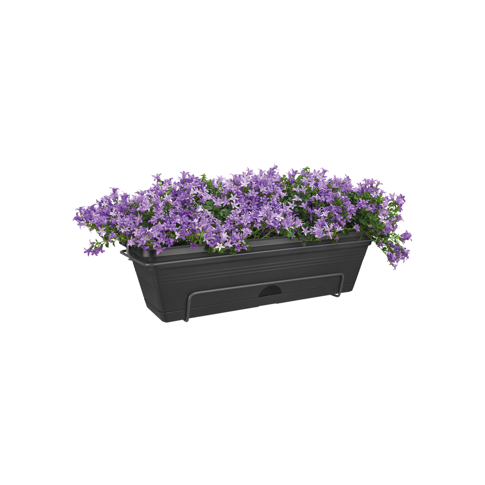 Green Basics Trough Allin1 50