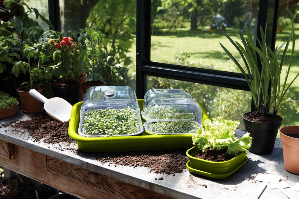 Green Basics Garden Tray 59