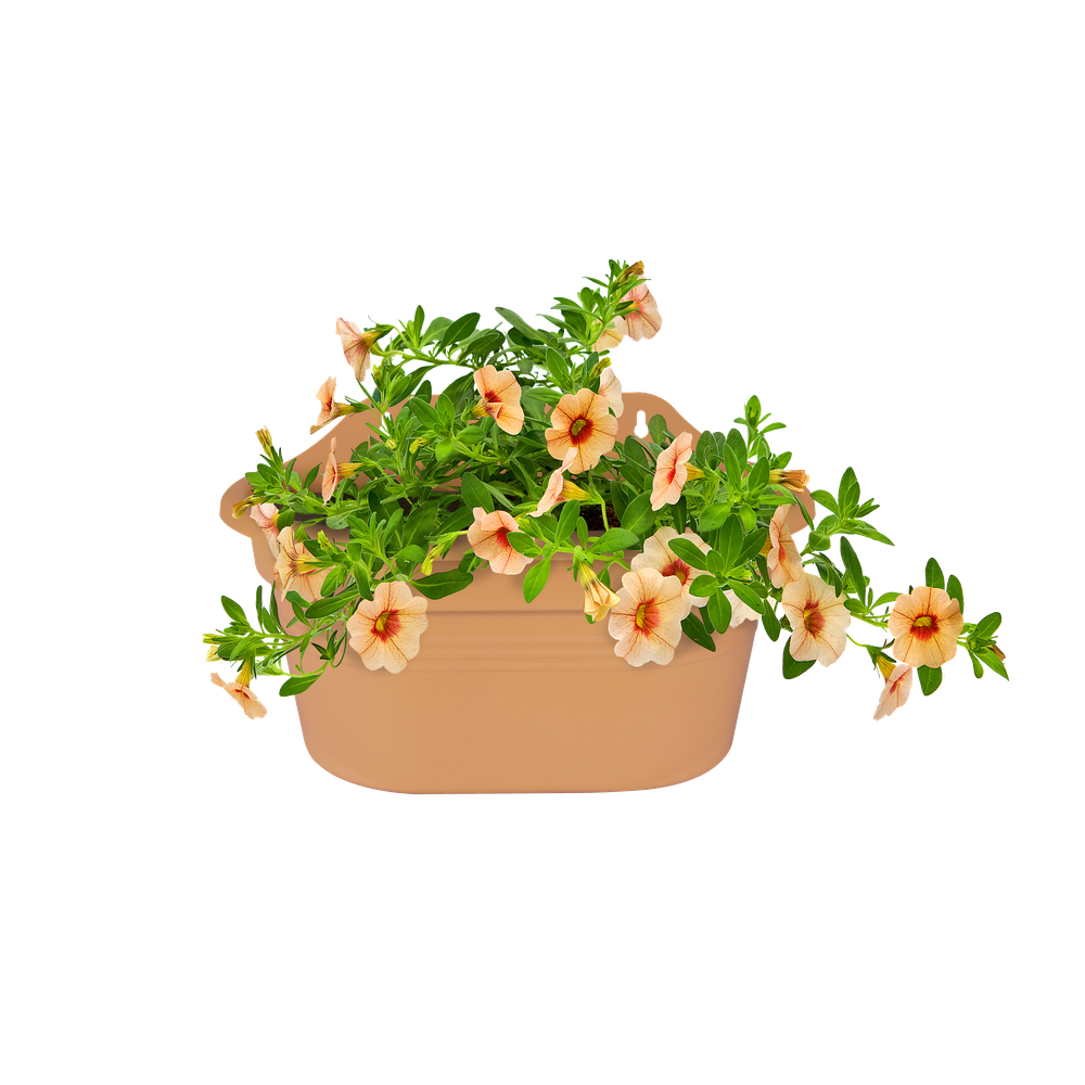 Green Basics Wall Basket 30