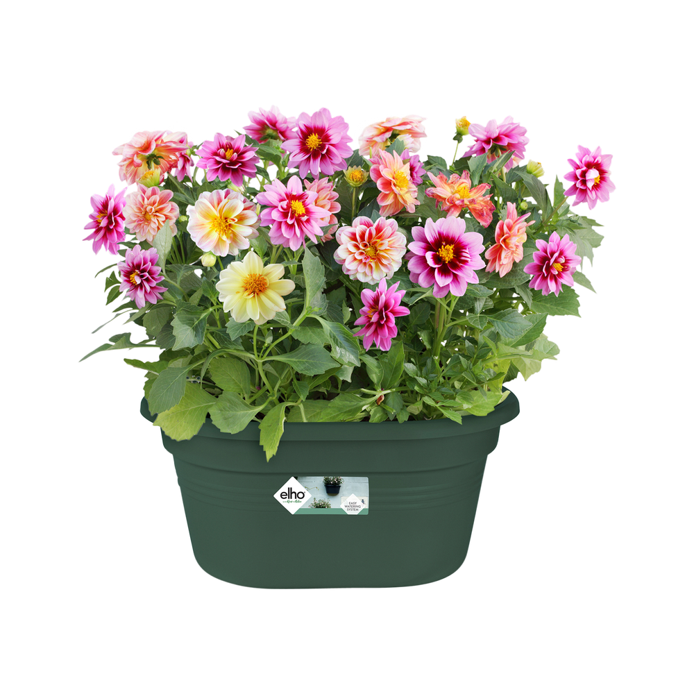 Green Basics Wall Basket 30