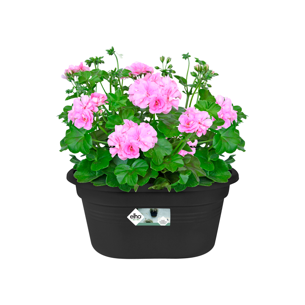 Green Basics Wall Basket 30
