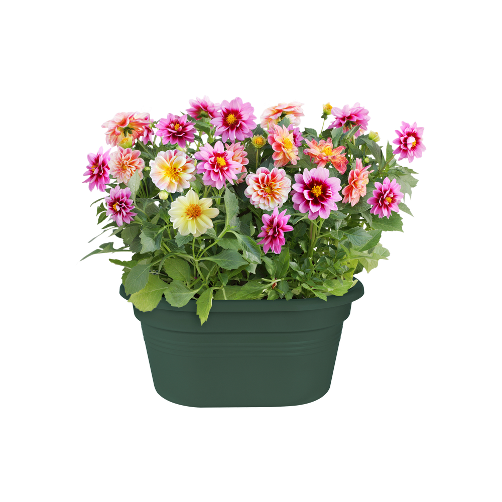 Green Basics Wall Basket 30