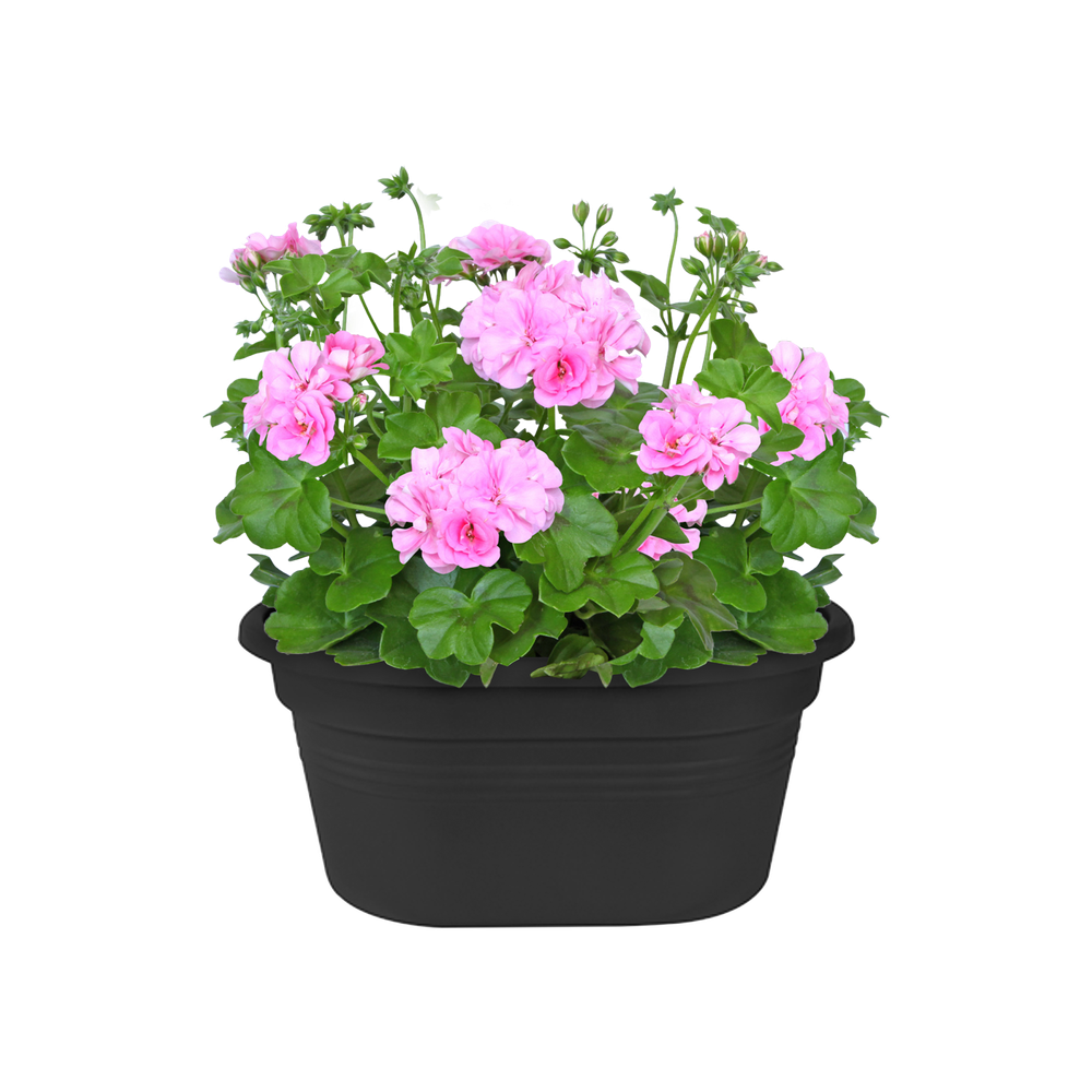 Green Basics Wall Basket 30