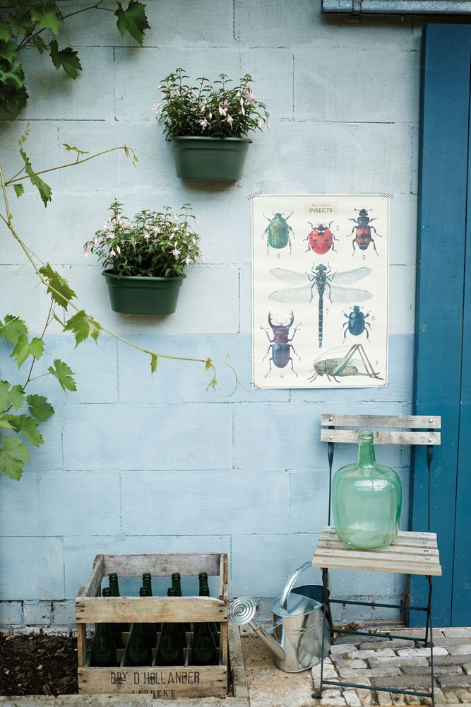 Green Basics Wall Basket 30