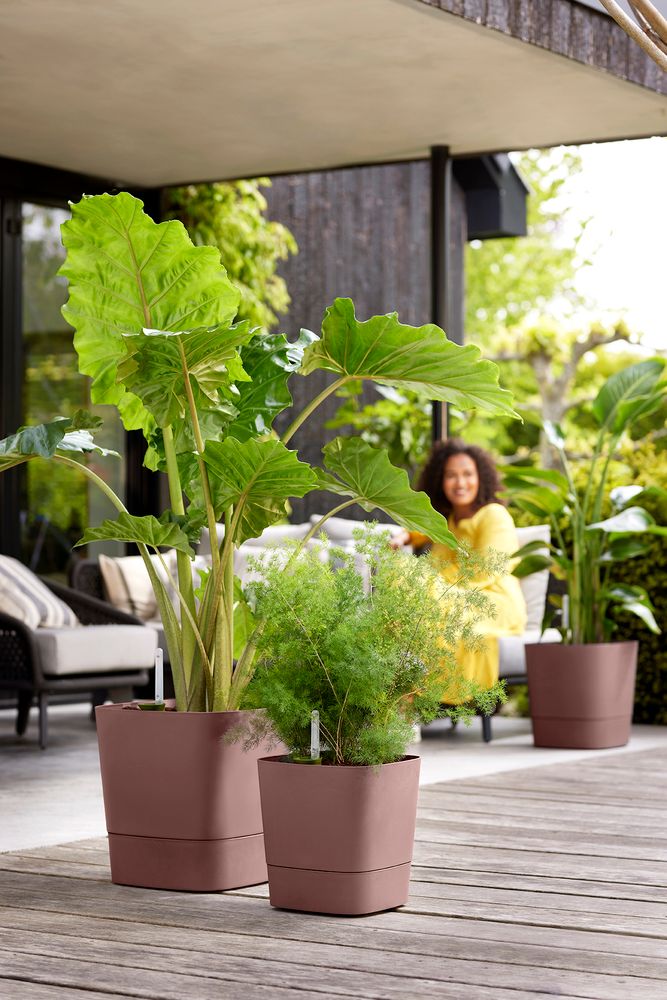 Greensense Aqua Care Square 38