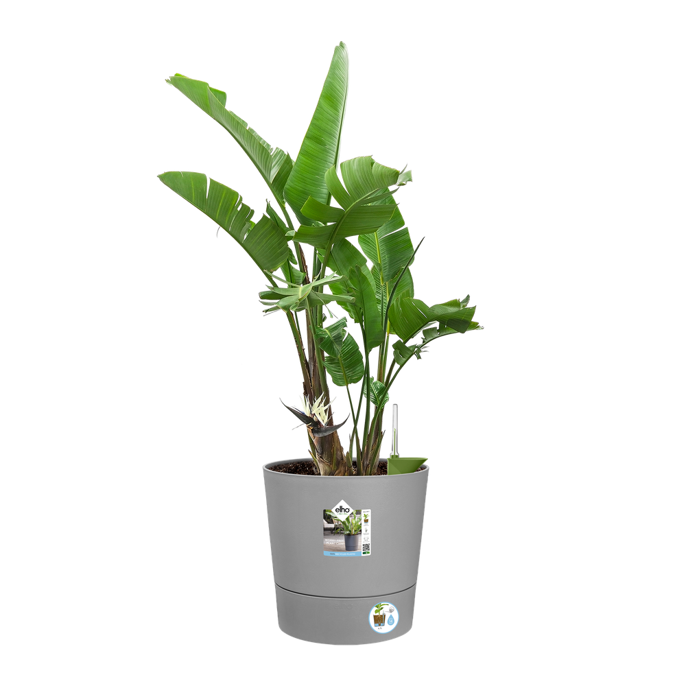 Greensense Aqua Care Round 35