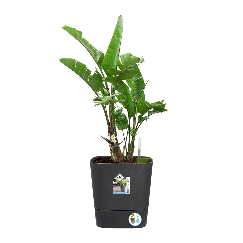 Greensense Aqua Care Square 38