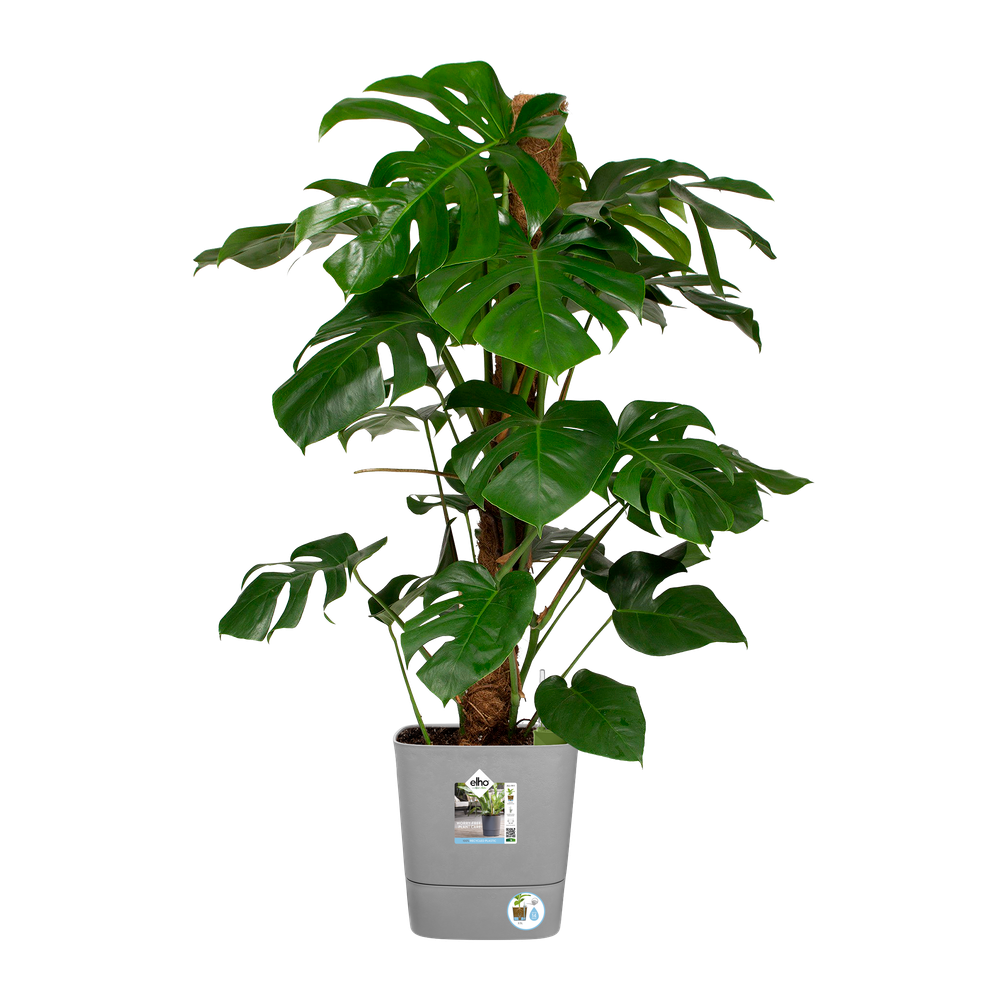 Greensense Aqua Care Square 30