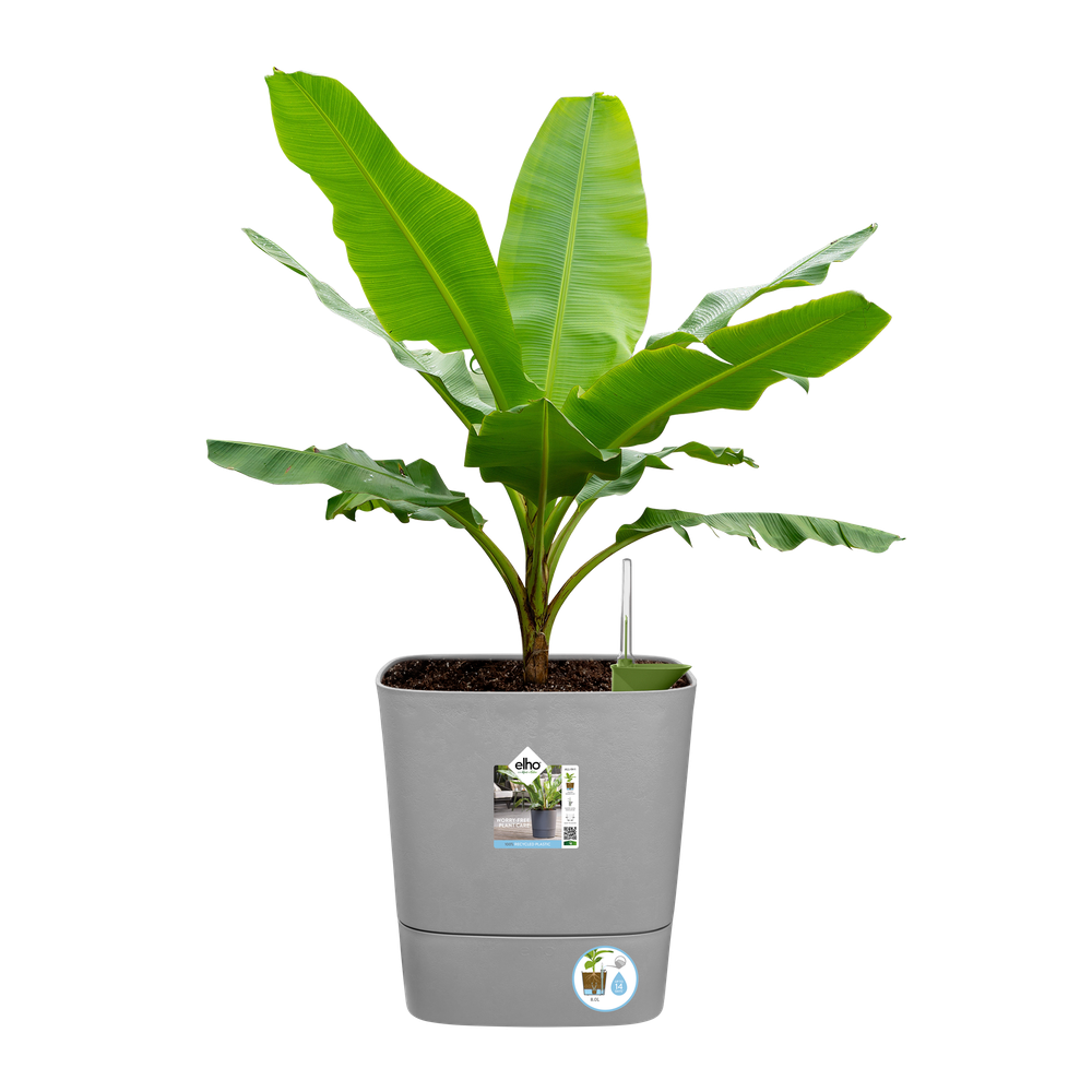 Greensense Aqua Care Square 38