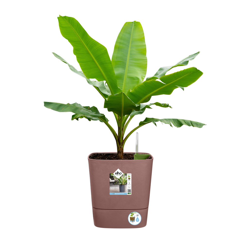 Greensense Aqua Care Square 38
