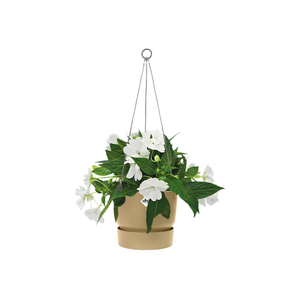 Greenville Hanging Basket 24
