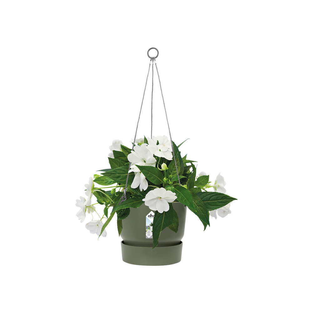 Greenville Hanging Basket 24