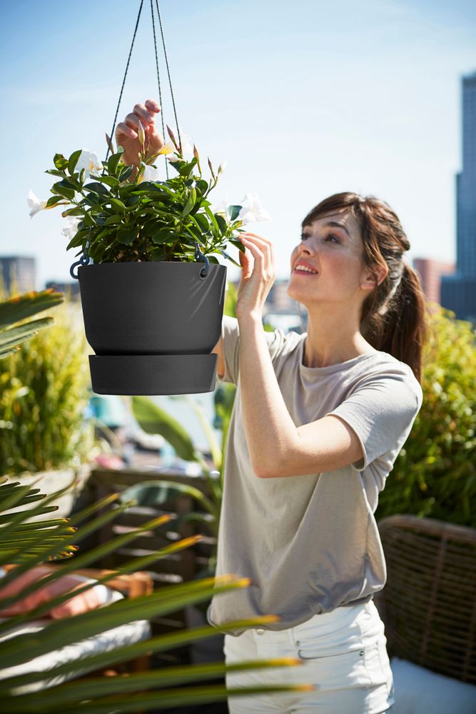 Greenville Hanging Basket 24