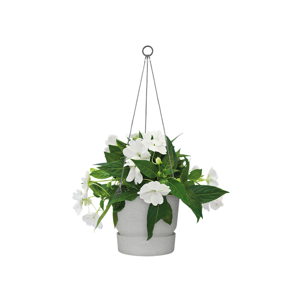 Greenville Hanging Basket 24