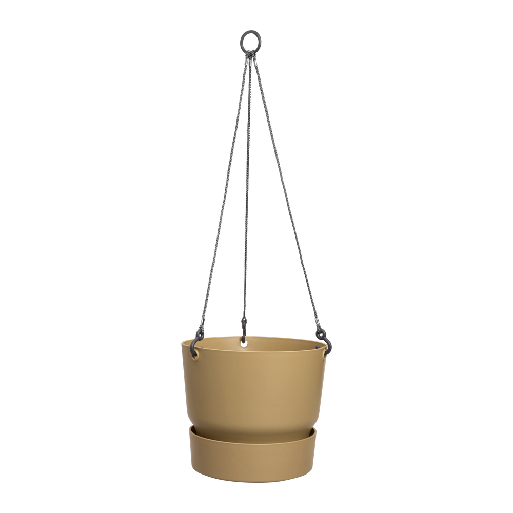 Greenville Hanging Basket 24