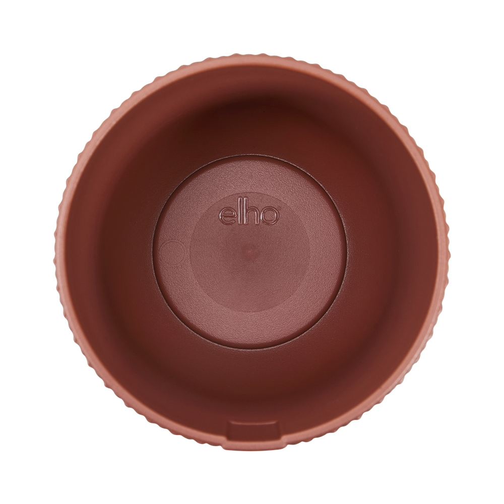 Jazz Round Mini 7