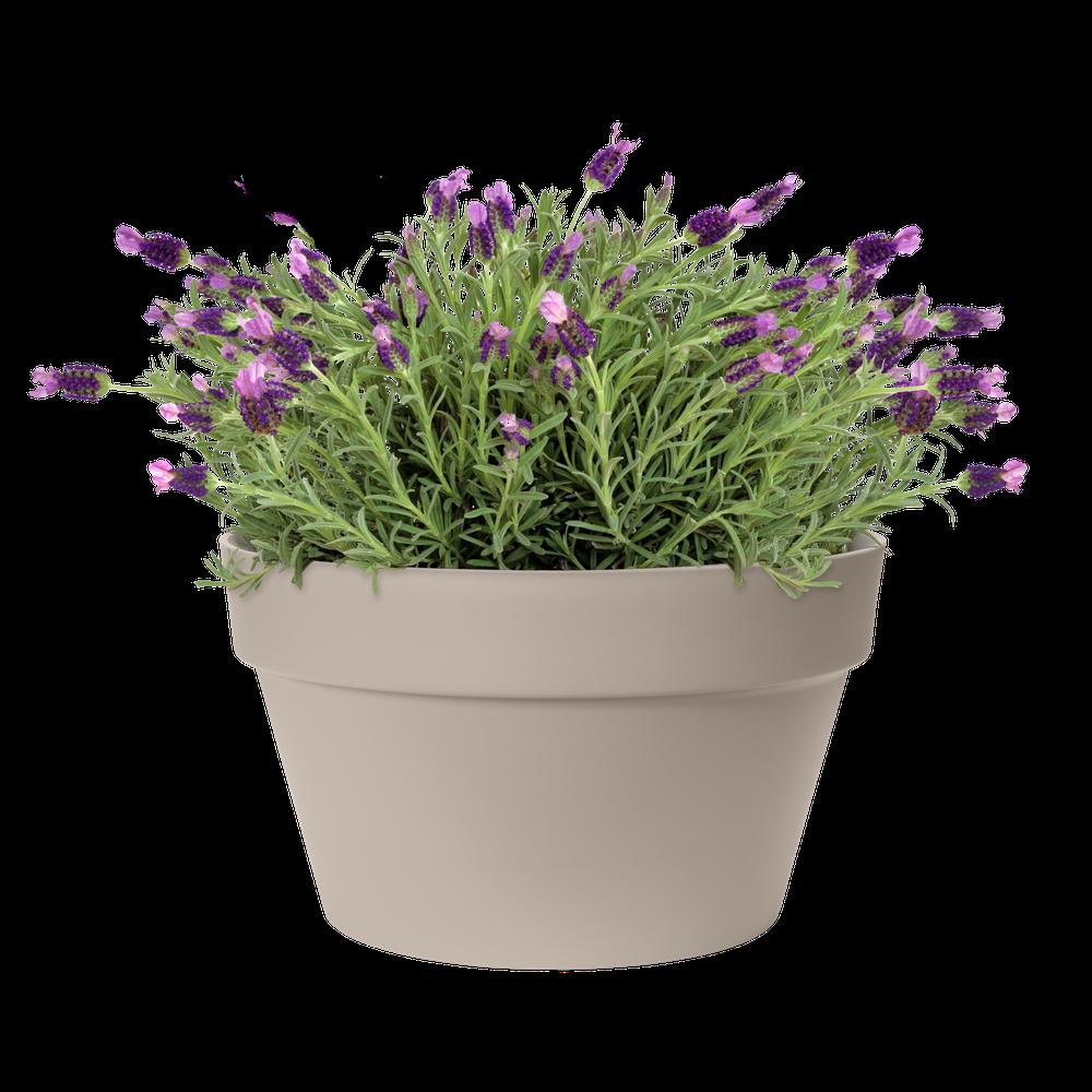 Loft Urban Bowl 35