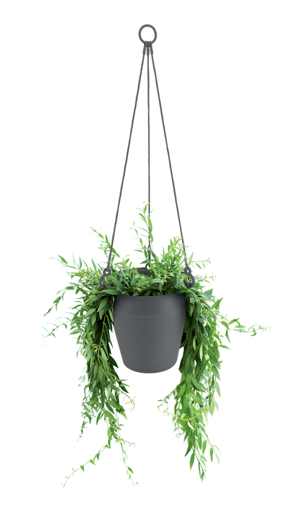 Loft Urban Hanging Basket 20
