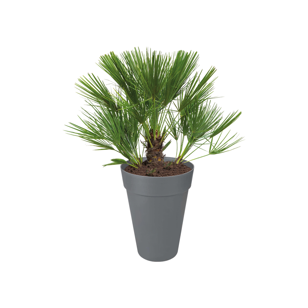 Loft Urban Round High 42