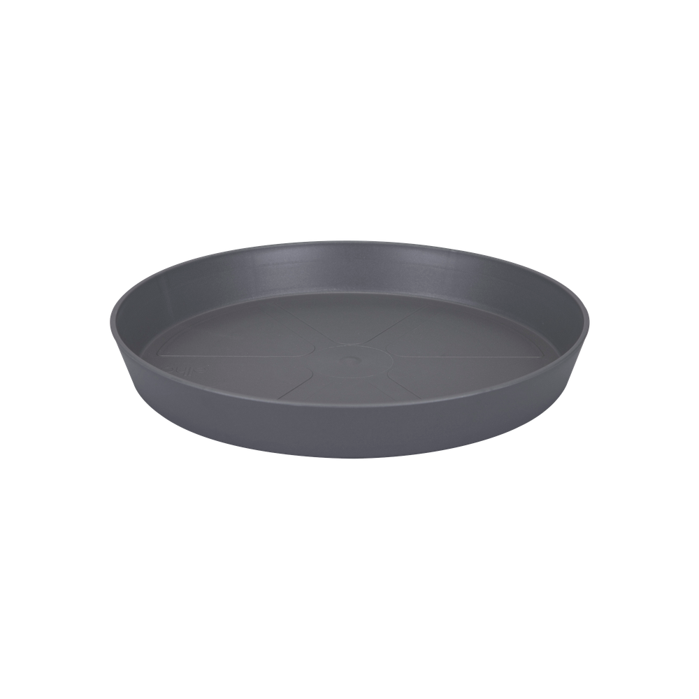 Loft Urban Saucer Round 24