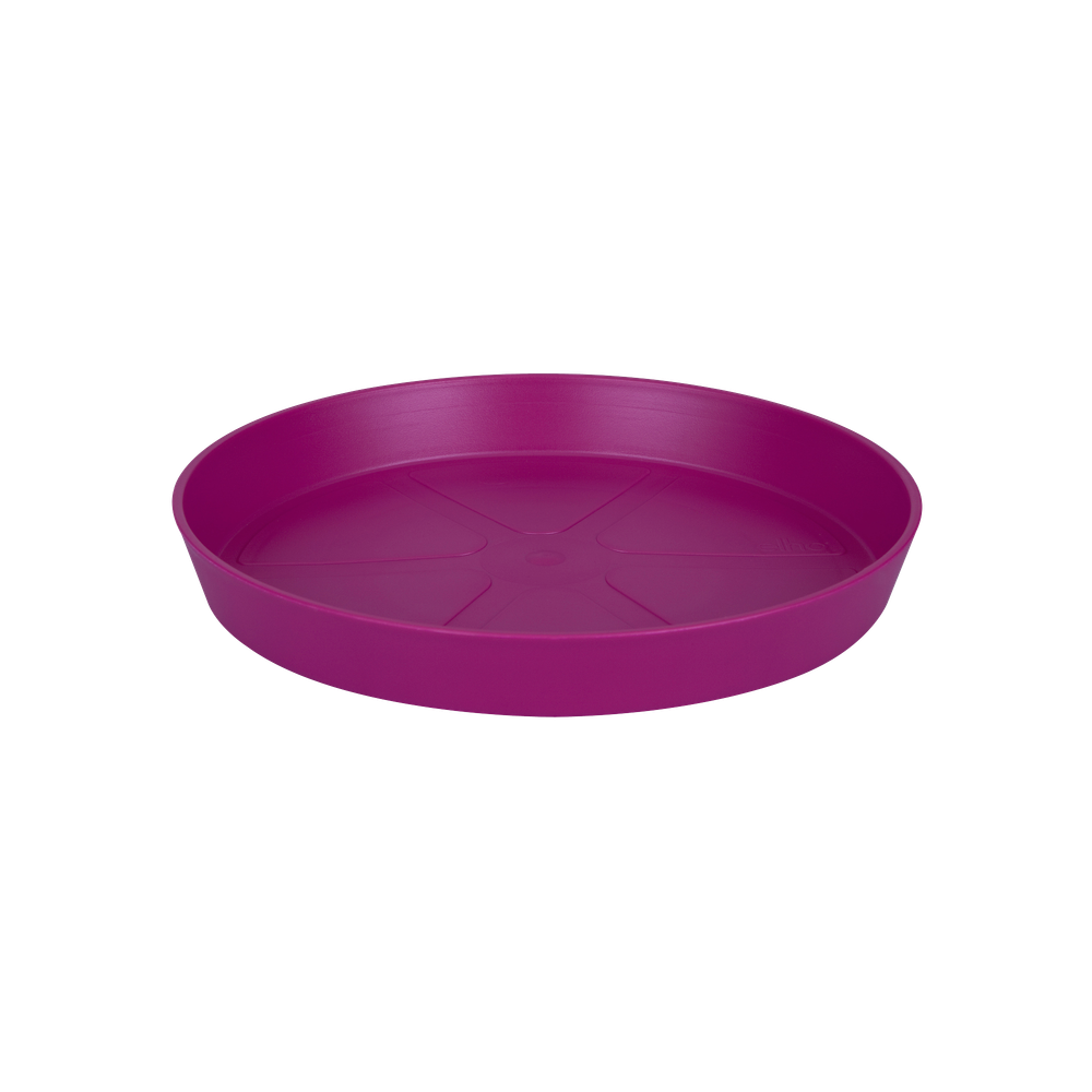 Loft Urban Saucer Round 24