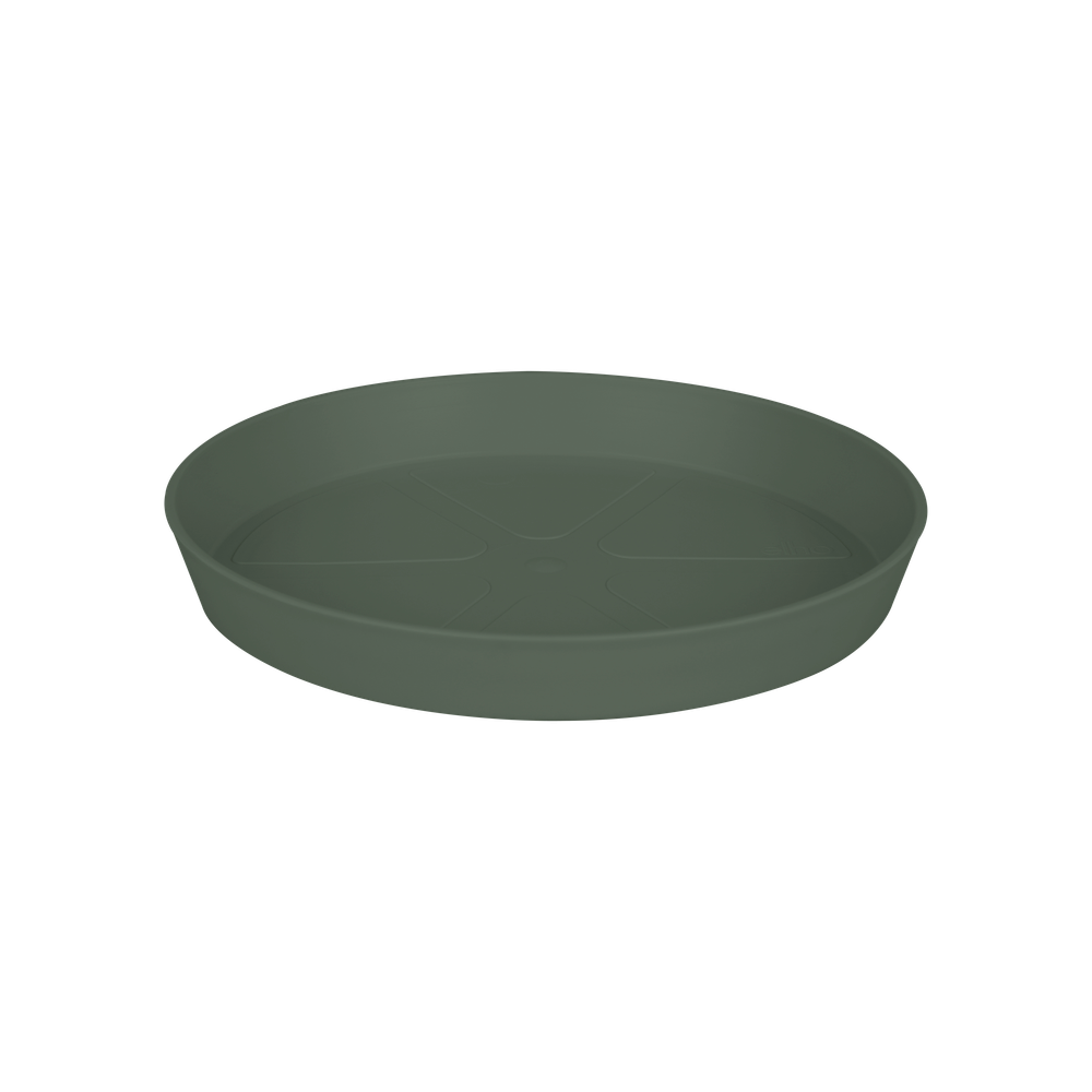 Loft Urban Saucer Round 24