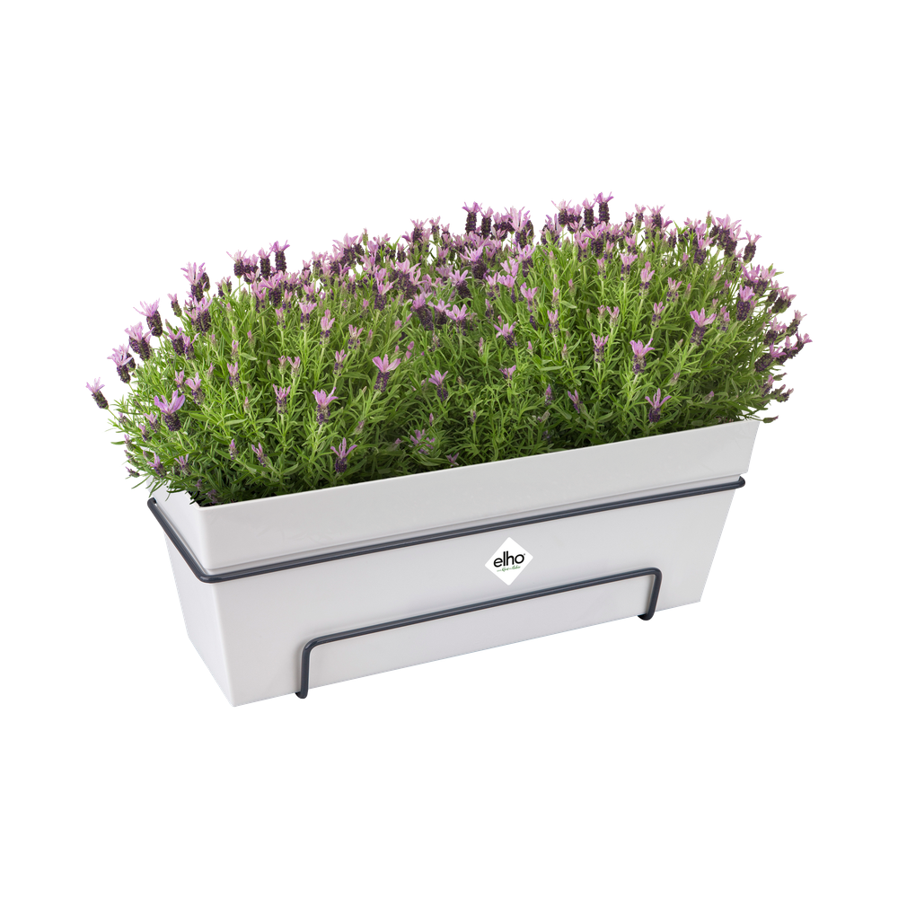 Loft Urban Trough Allin1 50