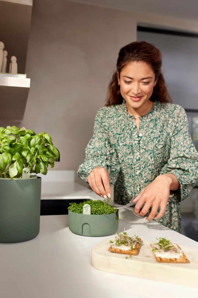 Magic Microgreens