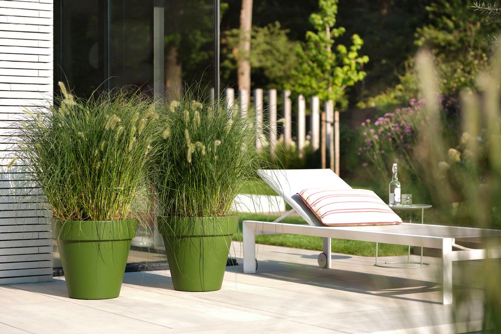 Pure Round Grass 50