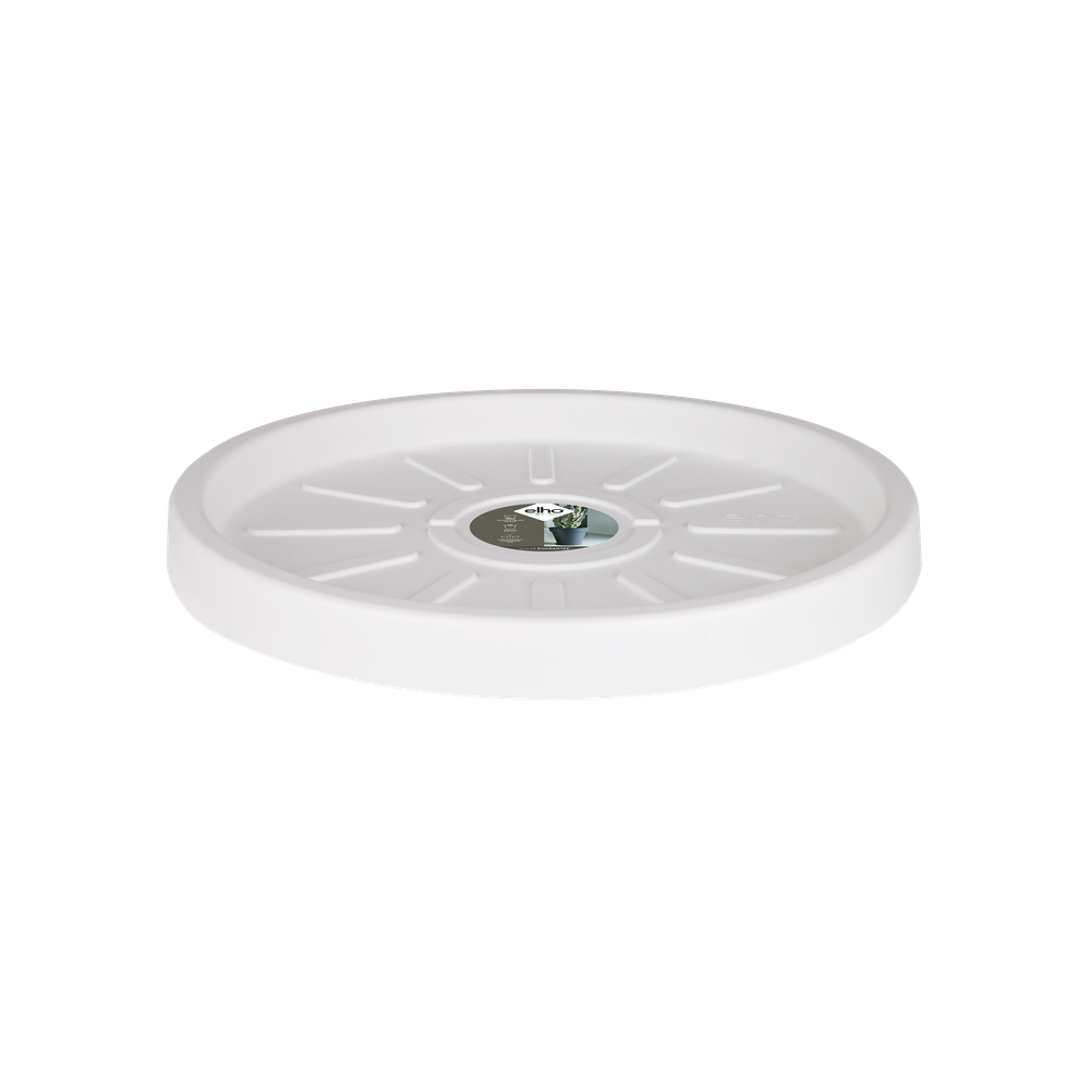 Pure Saucer 40