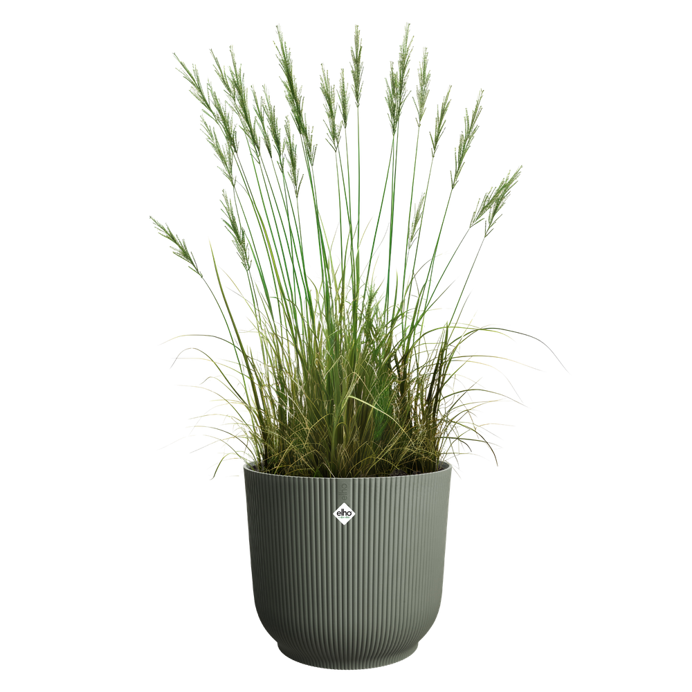 The Grass Collection Round 30