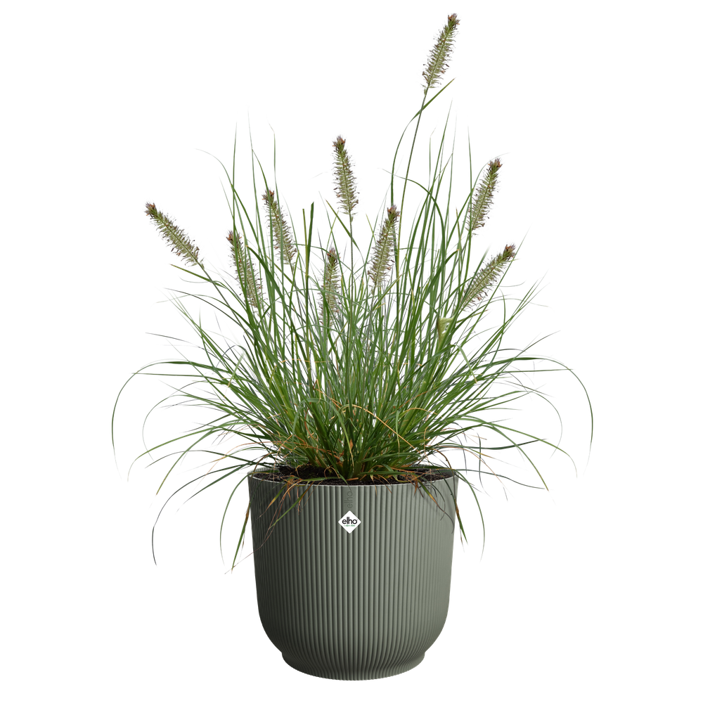 The Grass Collection Round 30